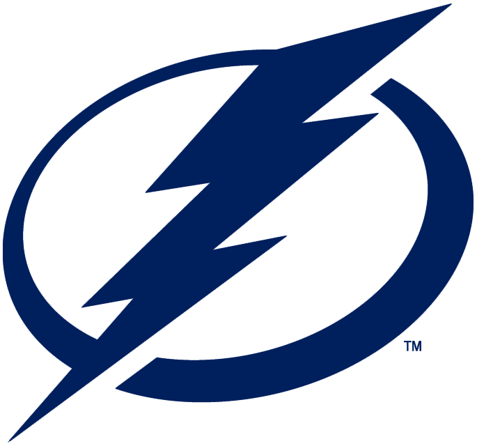 Tampa Bay Lightning 2011-Pres Primary Logo DIY iron on transfer (heat transfer)